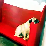 La Ca\' Vegia