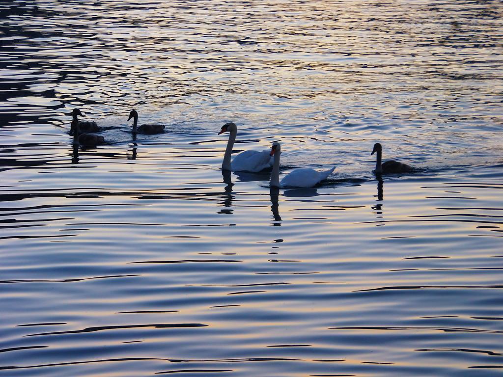 La Ca' Vegia Stresa