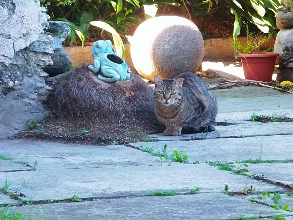 La Ca' Vegia Casa vacanze *