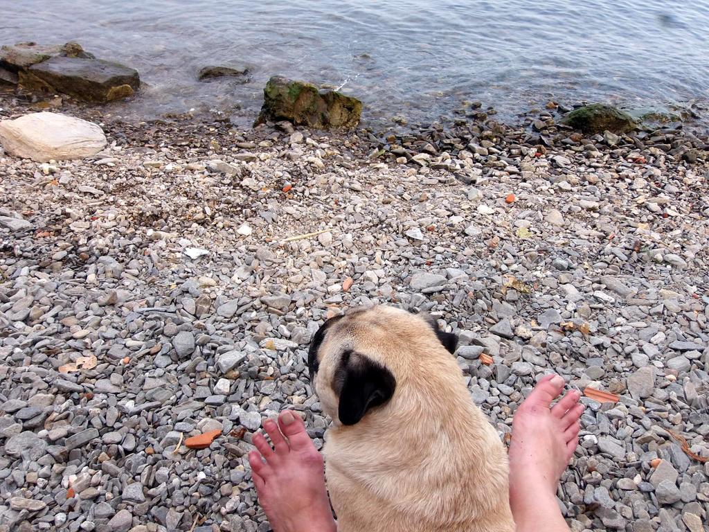 La Ca' Vegia Casa vacanze *